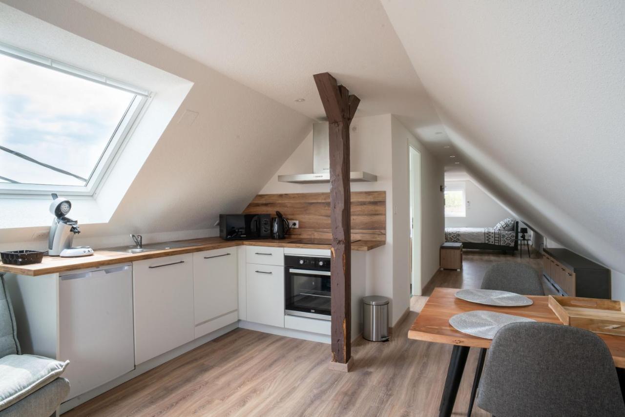 Gemuetlich 7 - Appartement Cosy Climatise Wissembourg Ngoại thất bức ảnh